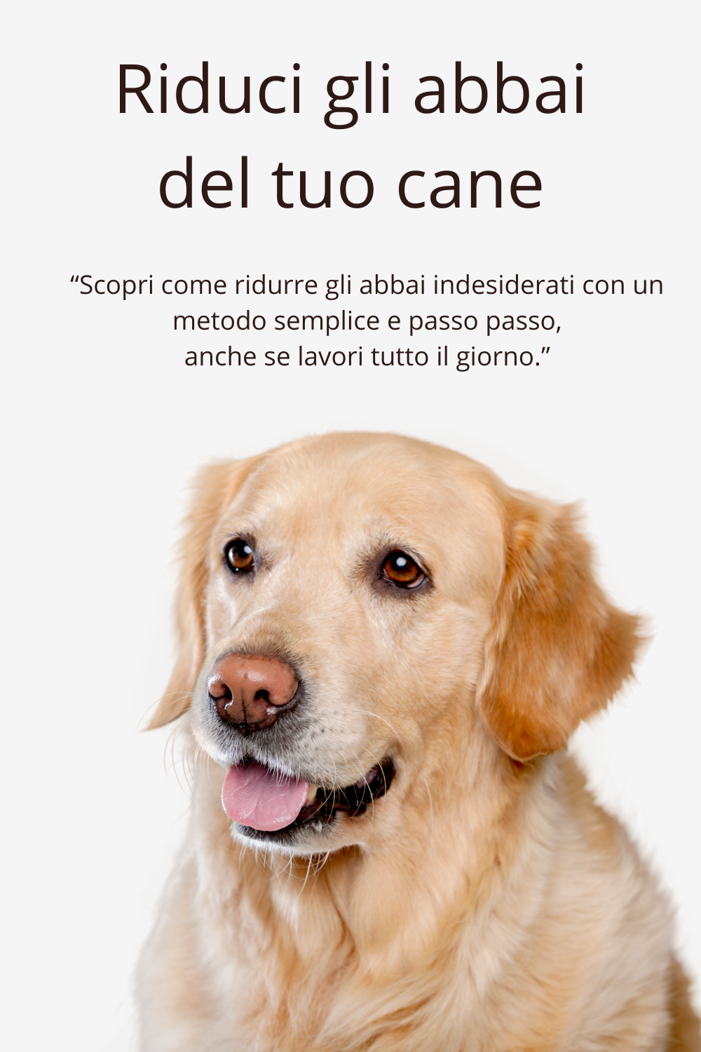Guida Completa: Riduci gli Abbai del tuo cane in 7 giorni- Checklist e Strategie Pratiche